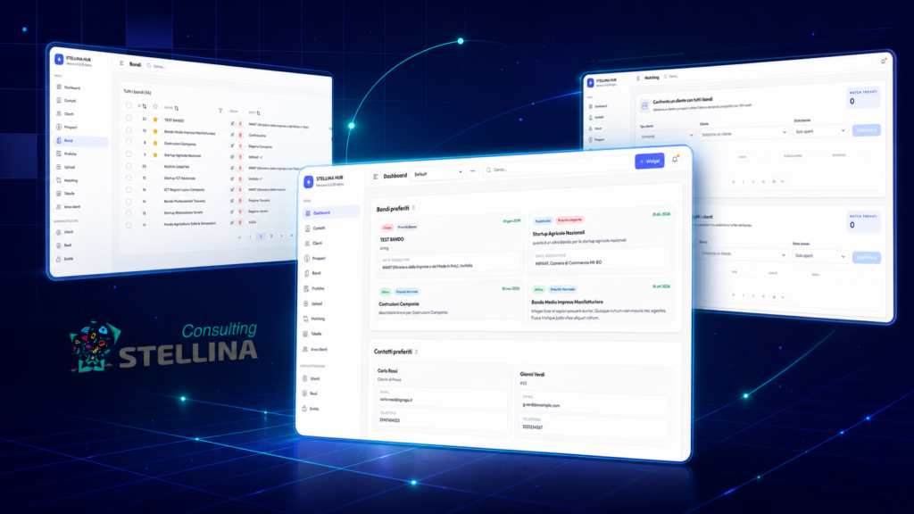 Interfaccia del progetto Stellina